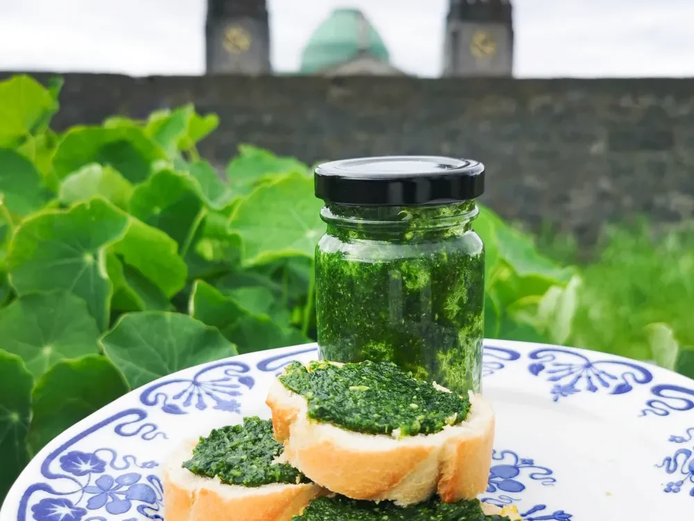 Athlone Castle Nasturtium Pesto