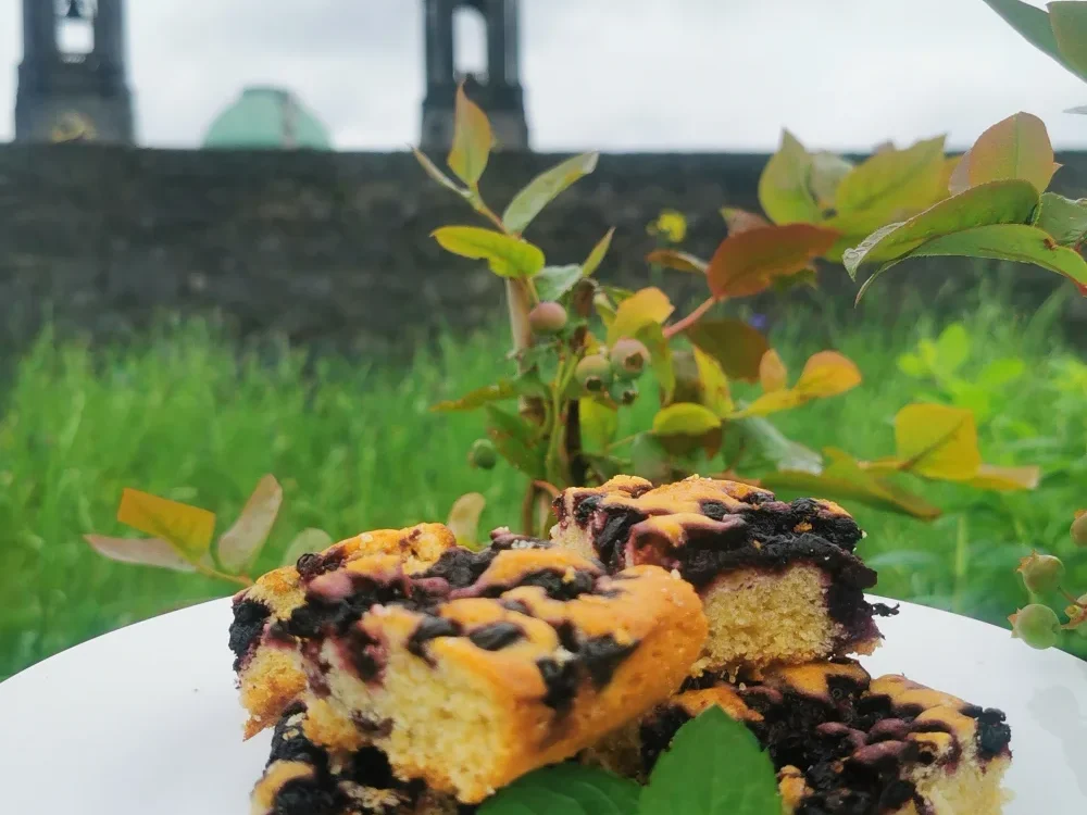 Billberry Cake At Athlone Castle Garden